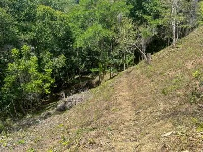 360° Ocean & Jungle View River Lot in Tres Rios, Ojochal, photo 10