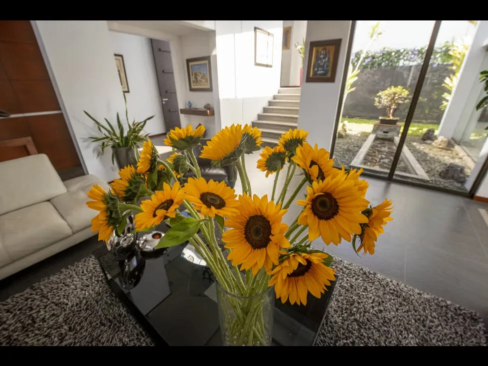 Exclusiva Residencia Contemporánea en el Exclusivo Condominio Santo Tomás, Santo Domingo de Heredia. Con rápido acceso al comercio y servicios de Santo Domingo de Heredia. Ideal ..., photo 10
