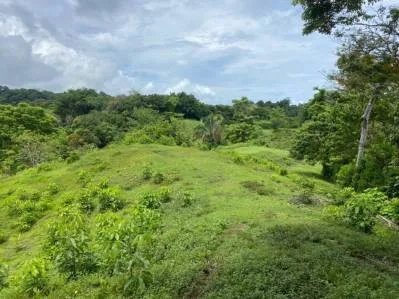 Manuel Antonio Vistas, photo 2
