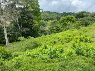Manuel Antonio Vistas, photo 4