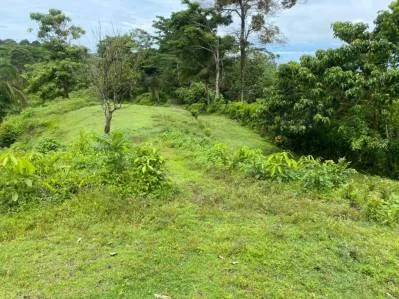 Manuel Antonio Vistas, photo 5