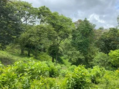 Manuel Antonio Vistas, photo 6