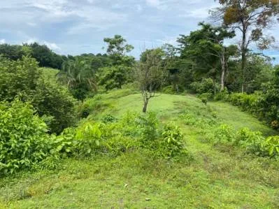 Manuel Antonio Vistas, photo 7