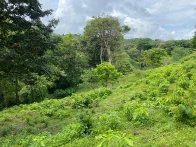 Manuel Antonio Vistas, photo 8