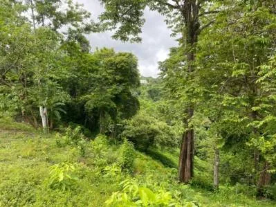 Manuel Antonio Vistas, photo 10