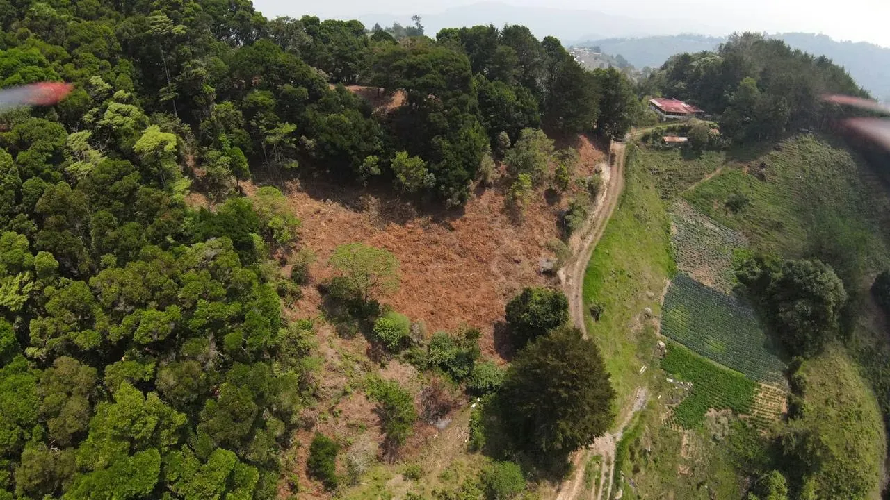 Land for sale with views of mountains in La Luchita, Dota ID 21355, photo 2