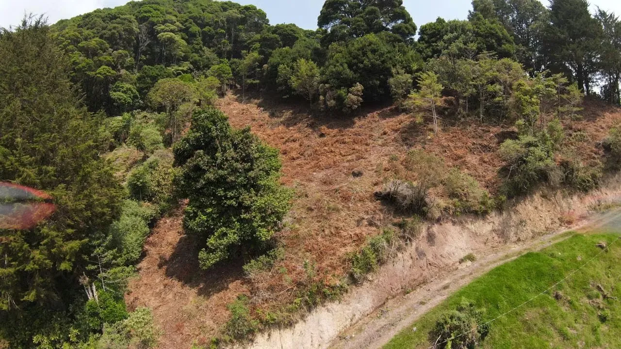 Land for sale with views of mountains in La Luchita, Dota ID 21355, photo 4