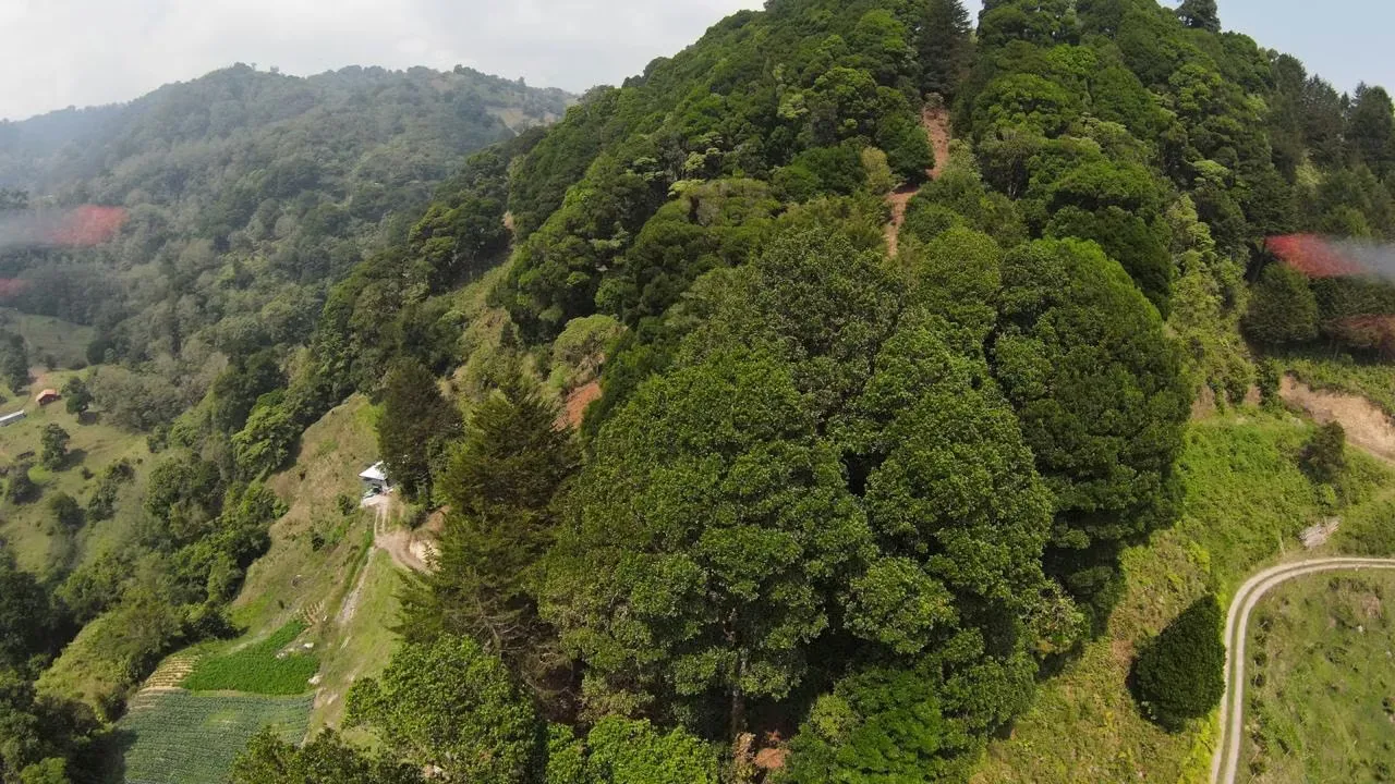 Land for sale with views of mountains in La Luchita, Dota ID 21355, photo 6
