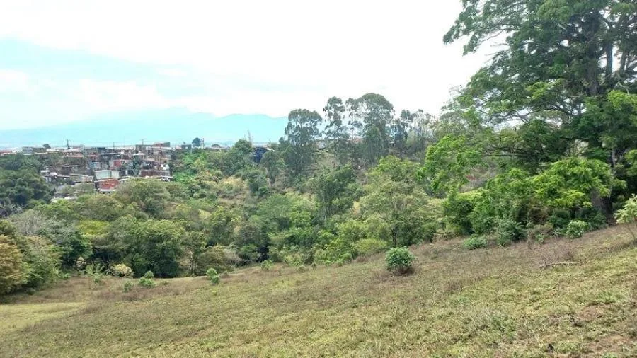 Venta de Proyecto en Goicoechea, San José.  - Venta en Goicoechea, photo 11