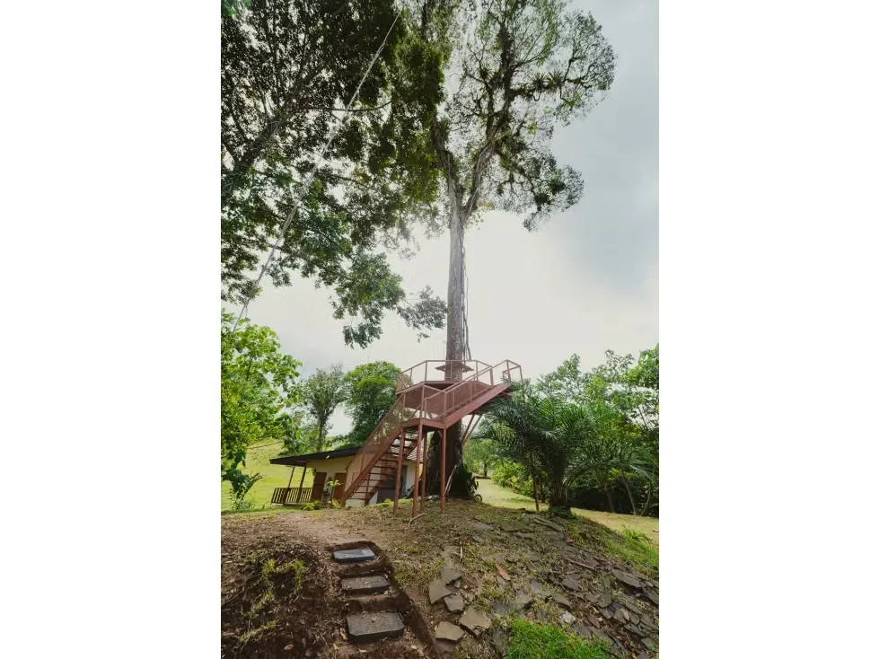 Descubre tu refugio ideal en la espectacular Casa Campestre ubicada en Sarapiquí, Heredia. Este encantador inmueble, con un extenso terreno de 10,000 m2, ofrece un estilo de vida ..., photo 11