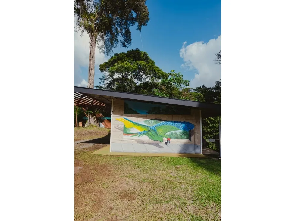 Descubre tu refugio ideal en la espectacular Casa Campestre ubicada en Sarapiquí, Heredia. Este encantador inmueble, con un extenso terreno de 10,000 m2, ofrece un estilo de vida ..., photo 15