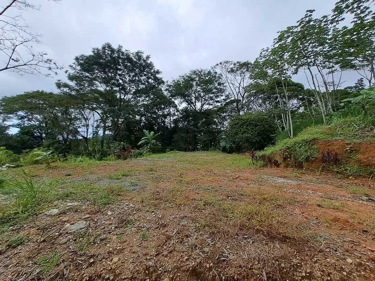 Where Ocean Vistas, Jungle Symphony, and Mountain Breezes Unite!, photo 2