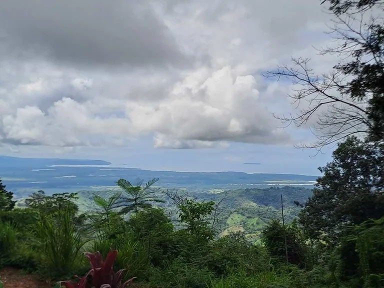 Where Ocean Vistas, Jungle Symphony, and Mountain Breezes Unite!, photo 7
