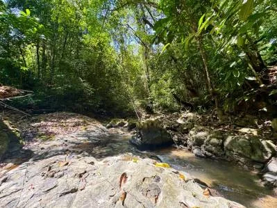 BUILDING PROPERTY WITH RIVER VIEW, IN TRES RIOS – 1.32 ACRES, photo 26