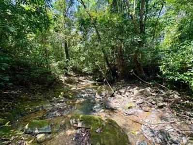 BUILDING PROPERTY WITH RIVER VIEW, IN TRES RIOS – 1.32 ACRES, photo 27