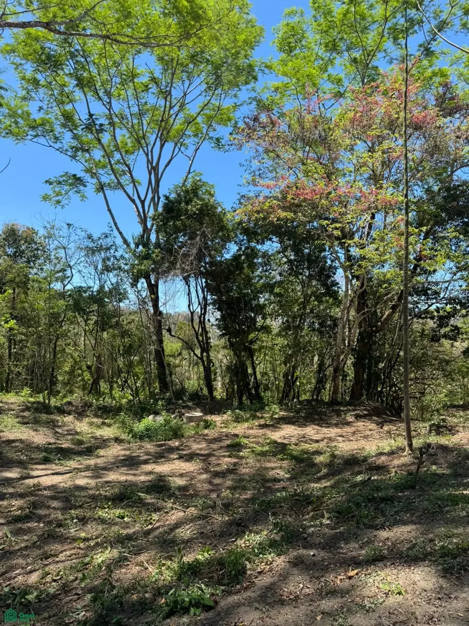 Mal Pais-Cabuya Road, Cóbano, Puntarenas 60111