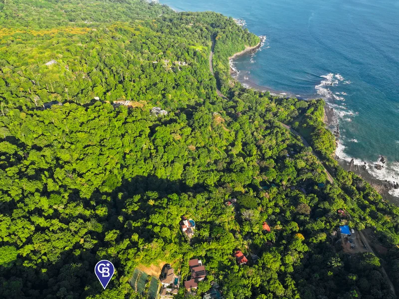 Land For Sale in Dominical, photo 4
