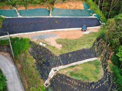 Luxury Ocean View Property in Costa Verde Estates, photo 6