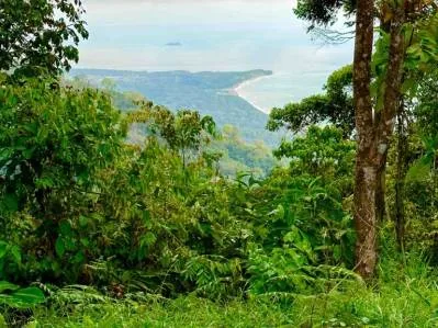 Luxury Ocean View Property in Costa Verde Estates, photo 10