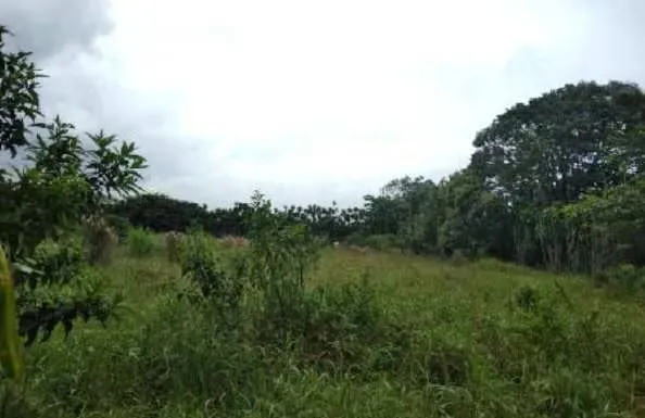 Terrenos en Heredia, Santa Bárbara, San Juan, photo 5