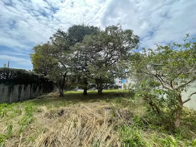 Spectacular lot for sale en San Pedro, photo 6