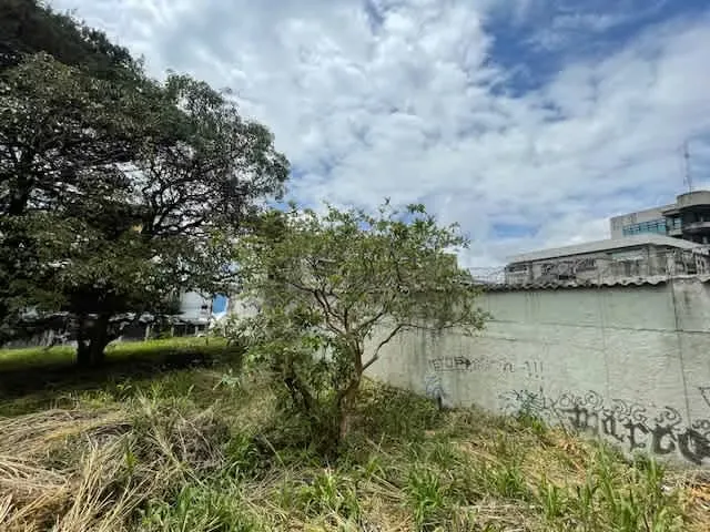Spectacular lot for sale en San Pedro, photo 7