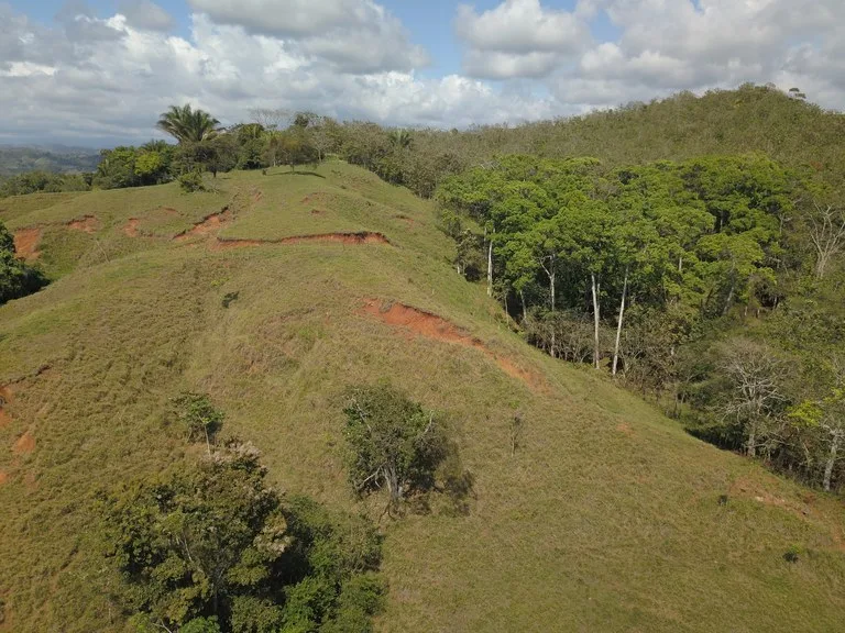 Agricultural Land in Parrita