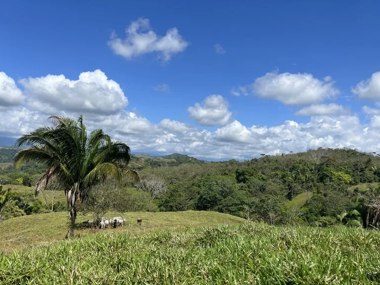 Agricultural Land in Parrita, photo 14
