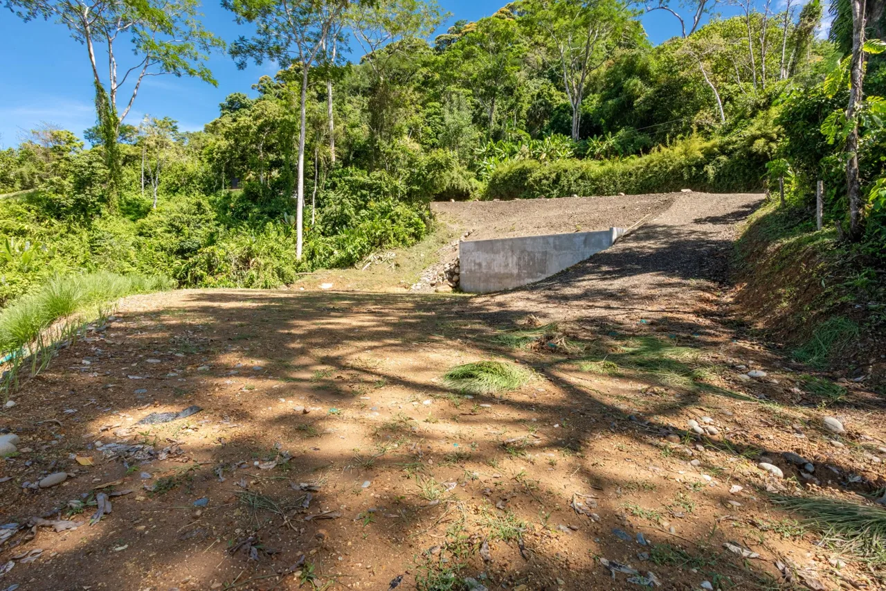 PROPERTY WITH MOUNTAINS VIEWS, IN SAN JOSECITO – 5 ACRES, photo 13