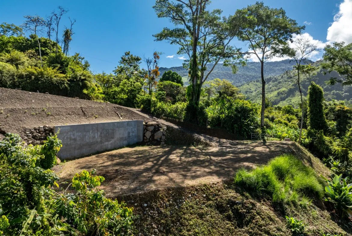 PROPERTY WITH MOUNTAINS VIEWS, IN SAN JOSECITO – 5 ACRES, photo 4