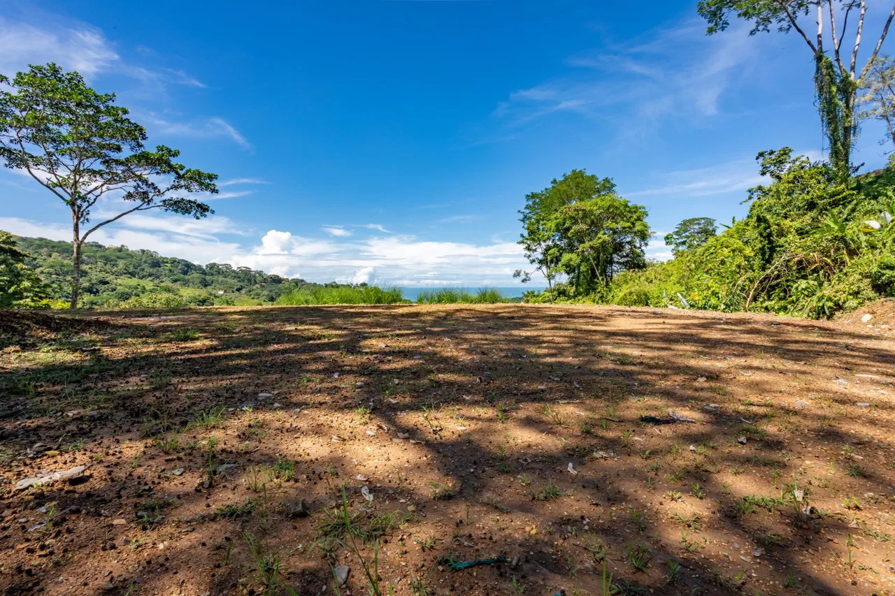 PROPERTY WITH MOUNTAINS VIEWS, IN SAN JOSECITO – 5 ACRES, photo 5