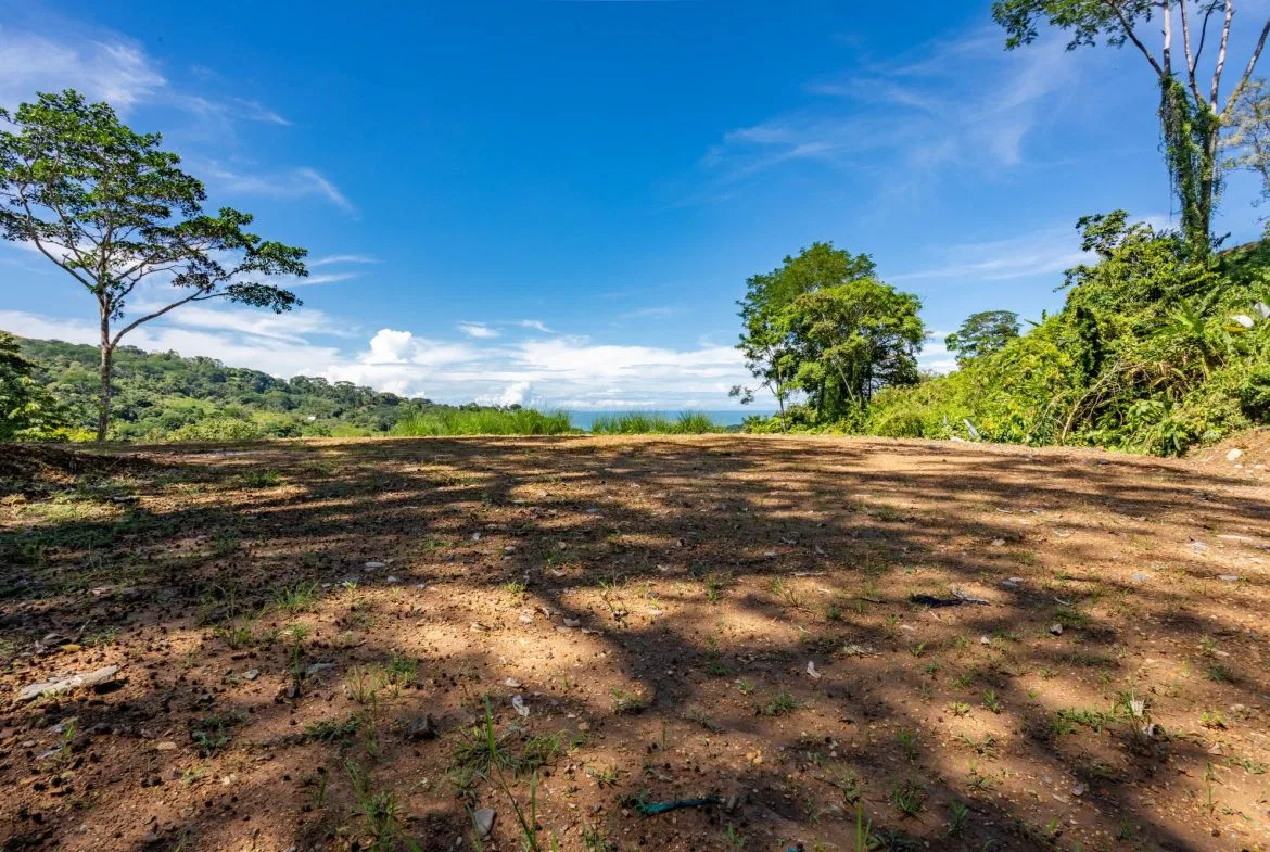 PROPERTY WITH MOUNTAINS VIEWS, IN SAN JOSECITO – 5 ACRES, photo 6