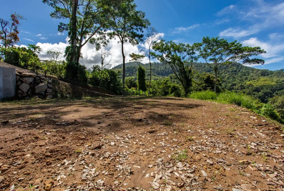 PROPERTY WITH MOUNTAINS VIEWS, IN SAN JOSECITO – 5 ACRES, photo 8