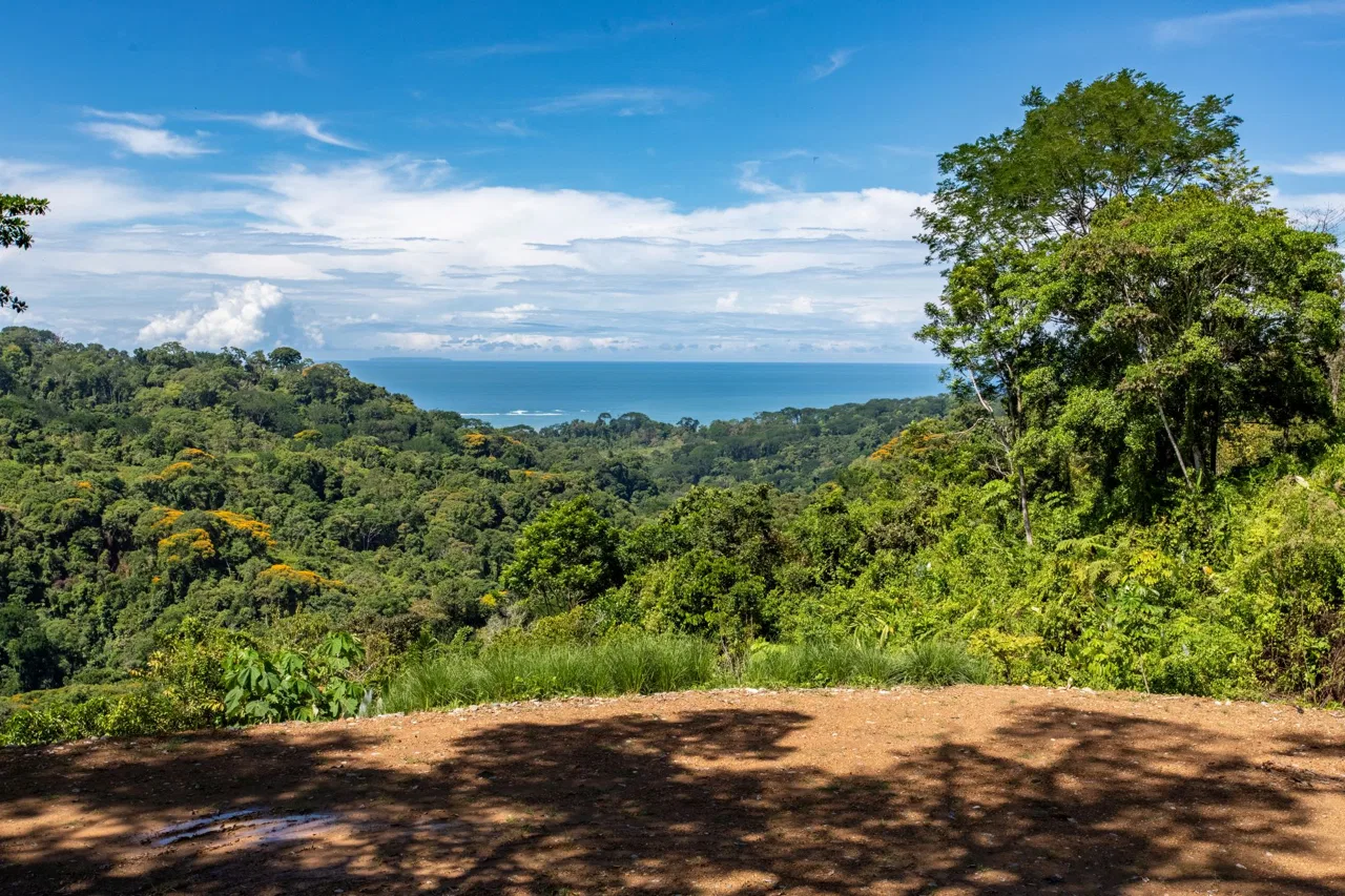 PROPERTY WITH MOUNTAINS VIEWS, IN SAN JOSECITO – 5 ACRES, photo 9