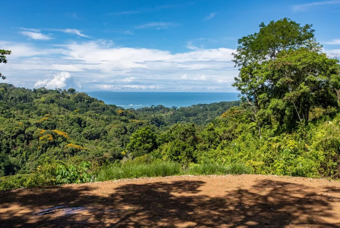 PROPERTY WITH MOUNTAINS VIEWS, IN SAN JOSECITO – 5 ACRES, photo 10
