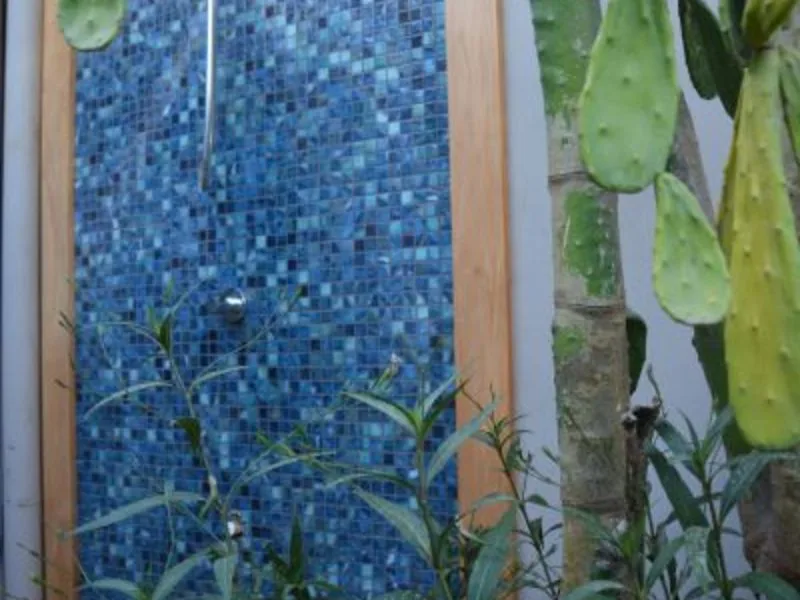 2 Bed Single Family Homes For Sale in Playas Del Coco, photo 12