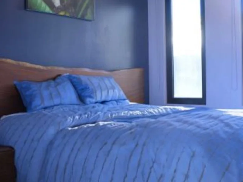 2 Bed Single Family Homes For Sale in Playas Del Coco, photo 6