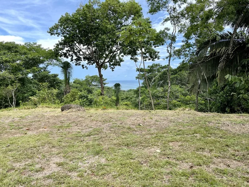 Land For Sale in Dominical, photo 2