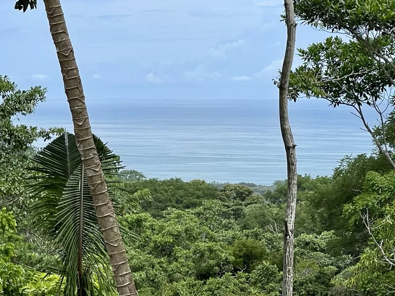 Land For Sale in Dominical, photo 3