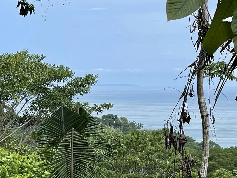 Land For Sale in Dominical, photo 6