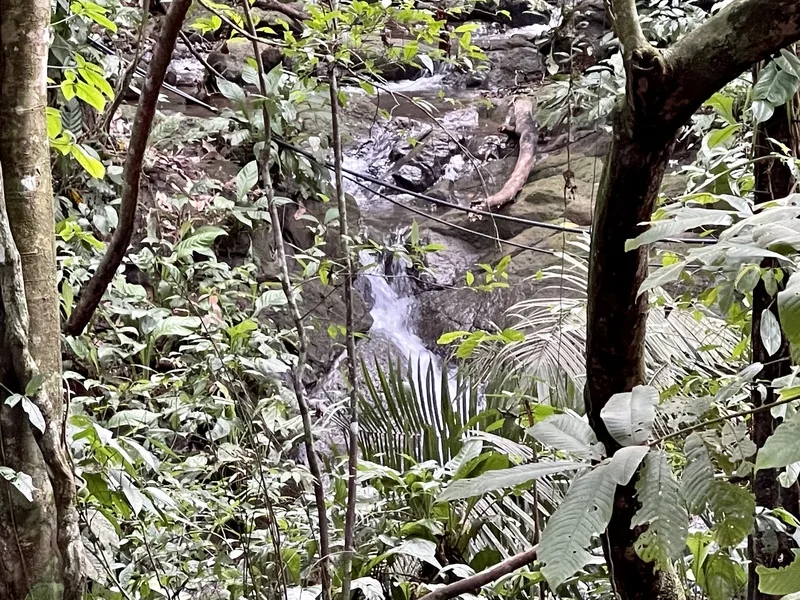 Land For Sale in Dominical, photo 8