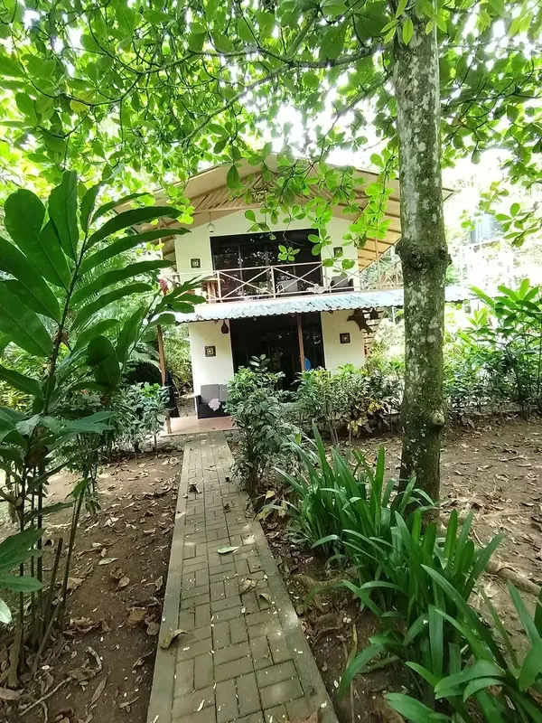 HOTEL FOR SALE, CAHUITA, LEMON, C.R SECURE INVESTMENT IN THE CARIBBEAN, photo 11
