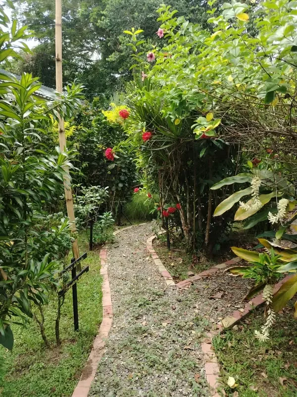 HOTEL FOR SALE, CAHUITA, LEMON, C.R SECURE INVESTMENT IN THE CARIBBEAN, photo 15