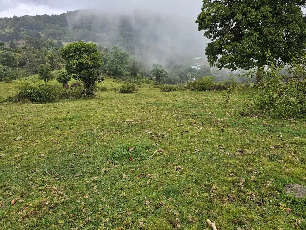 Land for Sale in Cañón del Guarco | 52,000 m² | Lots Starting from 5,000 m²