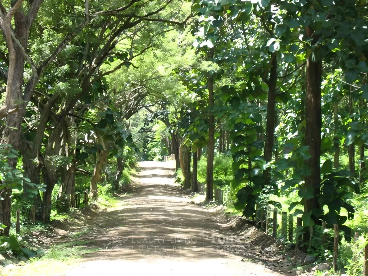 San José de Pinilla Lot 22H, Playa Avellanas