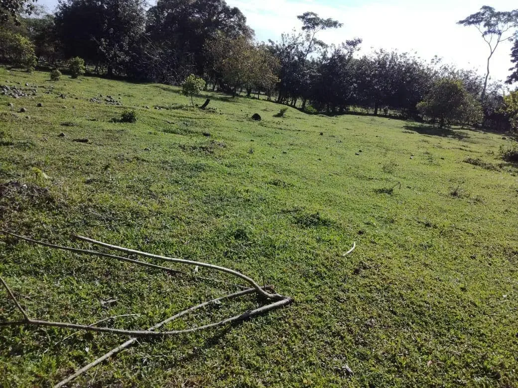 ¿Buscas un lugar para desconectarte del estrés de la ciudad o invertir en tu retiro soñado?, photo 8