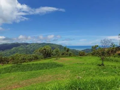 Hermosa vista al mar con enorme casa en Cacao Ridge, photo 8