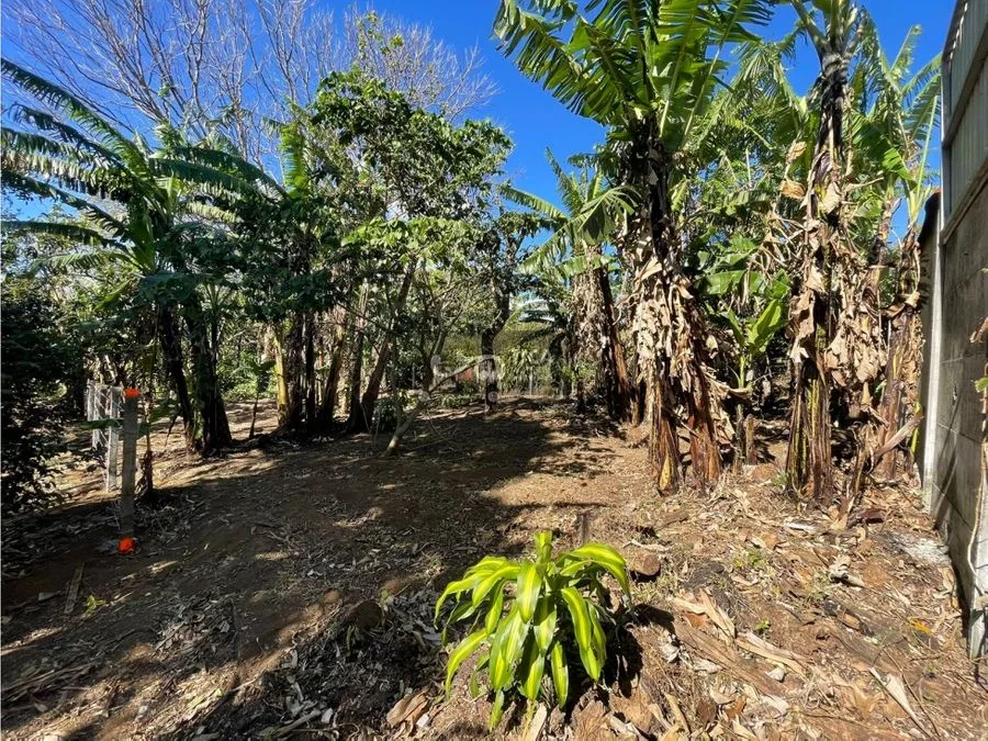 Terreno listo para construir en San Juan de Santa Barbara, photo 4