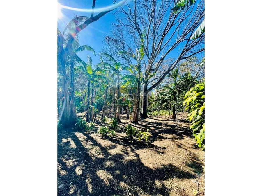 Terreno listo para construir en San Juan de Santa Barbara, photo 5