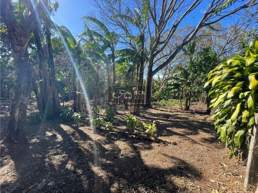 Terreno listo para construir en San Juan de Santa Barbara, photo 6